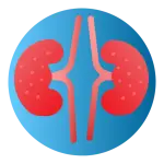 CKD