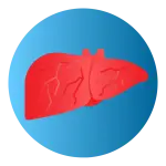 Fatty liver